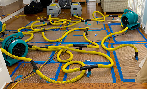 Professional Storm Water Damage Restoration technician working in Allons, TN